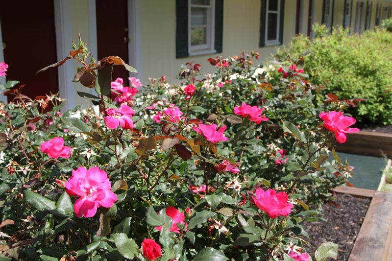 Lodge At קנבאנק מראה חיצוני תמונה
